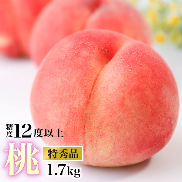 �������Y ���G ���Z���T�[�� 1.7kg