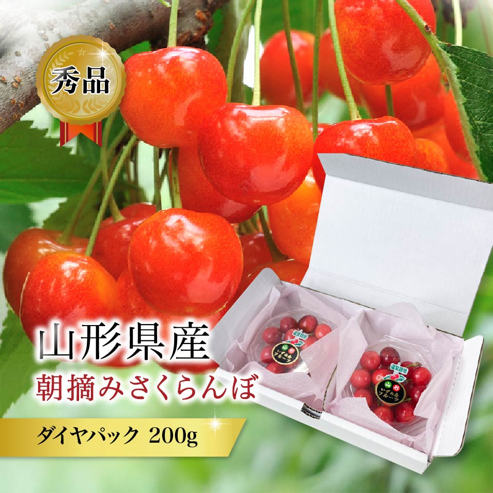 �R�`���Y�������� �_�C���p�b�N200g